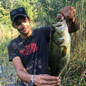 Meet your Posher, Ian